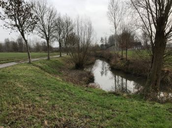 Trail Walking Oudenaarde - Welden 21 km - Photo