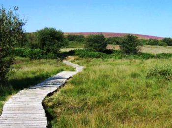 Tour Mountainbike Rosis - Petit tour du plateau du Caroux  - Photo