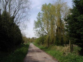 Trail Walking Fromelles - Circuit de la bataille de Fromelles - Photo