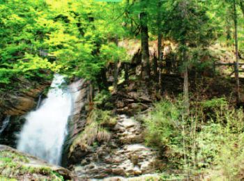 Percorso Mountainbike Morzine - Le Sentier du Renard et la cascade de Nyon - Photo