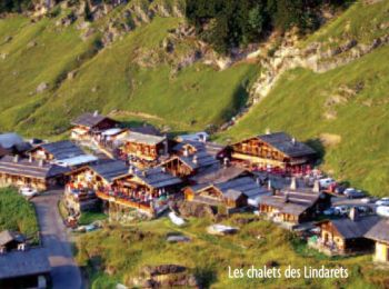 Excursión Bici de montaña Morzine - D'Avoriaz à la cascade des Brochaux par les Lindarets - Photo