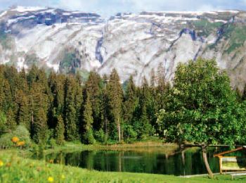 Excursión Bici de montaña Morzine - Le tour des alpages de Fréterolle à Chardonnière par le Col de Cou - Photo