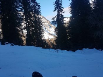 Tocht Stappen Morzine - Boucle Lac de Montrillon depuis Avoriaz - Photo