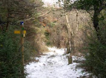 Trail Walking Grane - Boucle pédestre n°42 - Bois de la Dame - La Pierre Sanglante - Photo