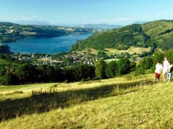 Tocht Stappen Bilieu - Pays Voironnais - Circuit de La Croix des Cochettes - Photo