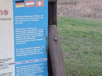Trail Walking Wuenheim - 2019.01.01.Wuenheim  - Photo