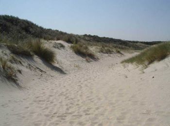 Trail Walking Bray-Dunes - Circuit de la dune du Perroquet - Photo