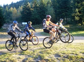 Trail Mountain bike Phalsbourg - Circuit VTT de Danne et 4 Vents - Phalsbourg - Photo