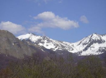 Tour Wandern Aulus-les-Bains - Le Mont Ceint ou Pic de Girantes - Photo