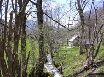 Excursión Senderismo Ustou - La vallée de Latrape - Photo