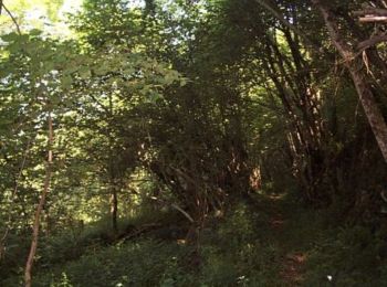 Tour Wandern Ercé - La Passade - Photo