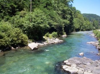 Tour Wandern Seix - Les bords du Salat à partir de Seix - Photo