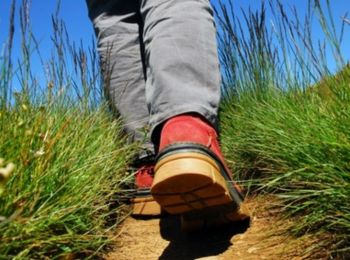 Tocht Stappen Le Monastier-sur-Gazeille - Chemin de Stevenson - Le Monastier vers Le Bouchet - Photo