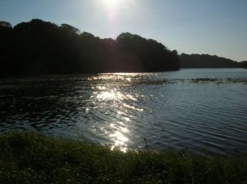 Tocht Stappen Plouvien - Autour de Plouvien - Photo