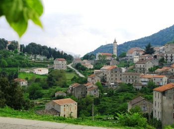 Tour Wandern Porto-Vecchio - Mare a Mare Sud - De Cartalavonu à Levie - Photo