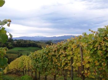 Tour Wandern Laroin - Les vignes en terrasses des collines de Jurançon - Photo
