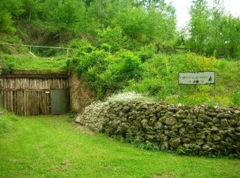 Percorso Marcia Vienne-le-Château - La Bataille d'Argonne - Photo