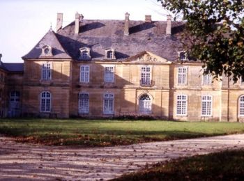 Tocht Stappen Donjeux - Le Château de Donjeux - Photo