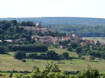 Randonnée Marche Bourmont-entre-Meuse-et-Mouzon - La Bôve et le Côna - Photo