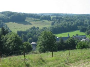 Trail Walking Signy-l'Abbaye - Chemin de Compostelle, Voie de Vézelay GR654® De Signy l'Abbaye à Wasigny - Photo