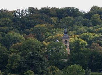 Percorso Marcia La Chaussée-sur-Marne - Chemin de Compostelle, Voie de Vézelay GR654® De La Chaussée sur Marne à Vitry le François - Photo