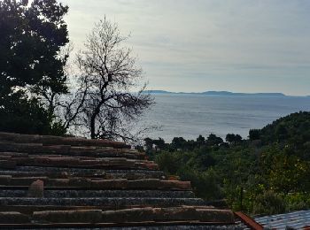 Tocht Stappen Rayol-Canadel-sur-Mer - rayol pointe des dattiers - Photo