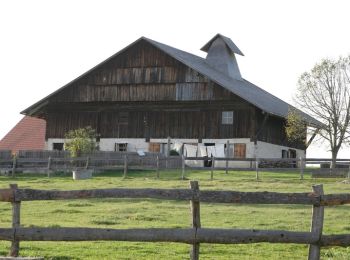 Excursión Bicicleta Besançon - Les Villages comtois - Doubs - Photo