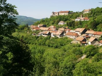 Trail Cycle Saint-Hippolyte - Le Château de Belvoir - Doubs - Photo