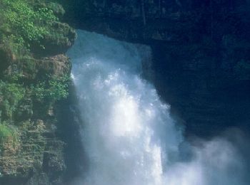 Excursión Bicicleta Villers-le-Lac - Le Saut du Doubs - Le Châtelot - Doubs - Photo