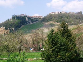 Tour Wandern Menétru-le-Vignoble - Les vignobles - Château Chalon et Côtes du Jura - Photo
