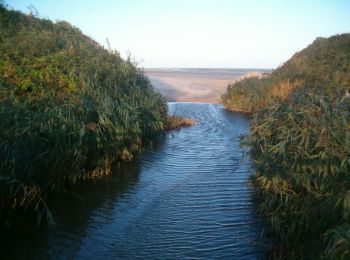 Tour Wandern Audinghen - Le Site des 2 Caps - Entre les Monts - Photo