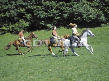 Trail Equestrian Aromas - Villeneuve lès Charnod - Saint Amour - Photo