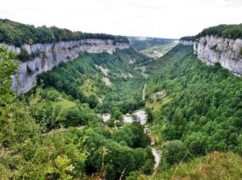 Excursión Senderismo Lavigny - De Lavigny à Fay en Montagne Via Crancot  - Photo