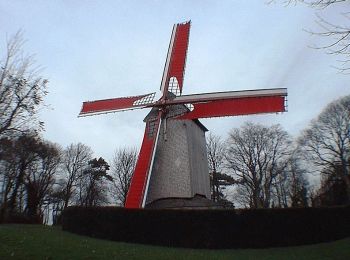 Randonnée Vélo Steenvoorde - Les Moulins de Flandre 1 - Steenvoorde - Photo