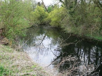 Trail Cycle Fresnes-sur-Escaut - La Vallée de l'Escaut - Fresnes sur Escaut - Photo