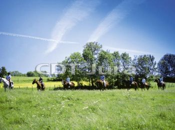 Tocht Paard Valzin-en-Petite-Montagne - Montadroit - Boissia - Photo
