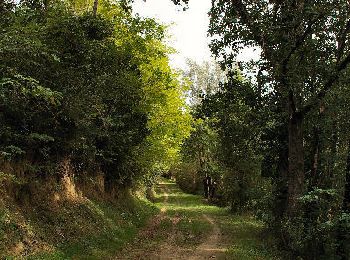 Trail Walking Lacroix-Falgarde - Lacroix Falgarde - Goyrans - Photo