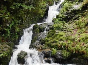 Tocht Stappen Xonrupt-Longemer - Le Hohneck et le sentier des roches - Du lac de Longemer au lac de Schiessrothried - Photo