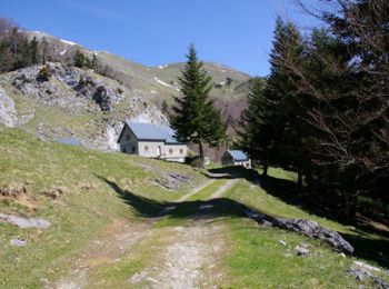 Tour Wandern Boutx - Pic de Cagire - Photo