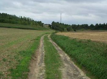 Trail Walking Bellinghem - Inghem - Le sentier des Bosquets - Photo