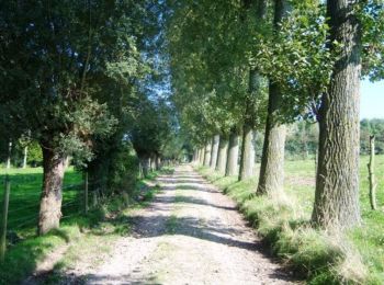 Percorso Marcia Delettes - Delettes - Le sentier les Bonniarts - Photo