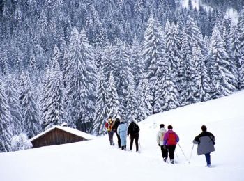 Tocht Sneeuwschoenen Morzine - De l'Erigné à Chardonnières en raquettes - Photo