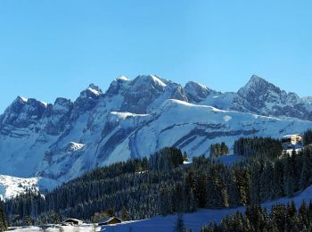 Randonnée Raquettes à neige Morzine - De l'Erigné à Fréterolles en raquettes - Photo