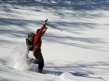 Trail Snowshoes Les Gets - Du belvédère du Pléney aux Chavannes en raquettes - Photo