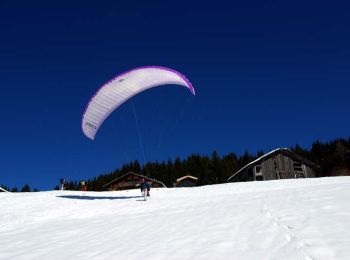 Randonnée Raquettes à neige Morzine - Les crêtes de Zore en raquettes - Photo