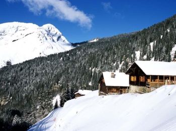 Tocht Sneeuwschoenen Morzine - Le village des Lindarets en raquettes - Photo