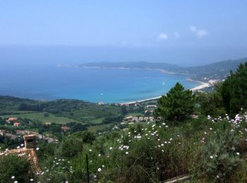 Excursión Senderismo Marignana - Mare e Monti - De E Case à Cargèse - Photo