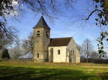 Trail Walking Brinon-sur-Beuvron - Chapelles autour de Brinon - Photo