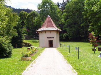 Tour Wandern Büssing - La Moselle, une source Cool - Photo