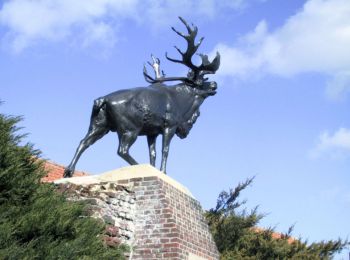 Trail Walking Monchy-le-Preux - Le chemin du Caribou - Monchy le Preux - Photo